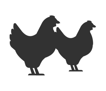 Sentinel Chickens